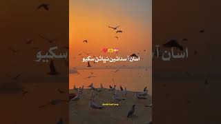 Asan aa sadiyan nabhin sekhyeo sandhi slow reverb songs viralsong khalidhussainbhatti [upl. by Yesnnyl]