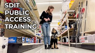 SERVICE DOG IN TRAINING PUBLIC ACCESS OUTING  public access training at tractor supply [upl. by Eniamerej795]