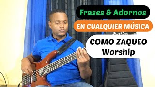 COMO ZAQUEO ADORNOS amp FRASES QUE PUDES APLICAR EN CUALQUIER MÚSICA  intermedio amp básico [upl. by Eetnod]