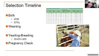 Heifer Selection amp Management Webinar [upl. by Honig]