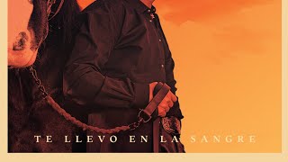 Te Llevo En La Sangre  Alejandro Fernández Estreno Del Album Próximo Viernes 24 De Mayo [upl. by Kensell]