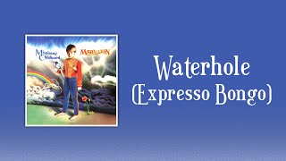 Marillion  Waterhole Expresso Bongo sanoitukset [upl. by Nylarahs]