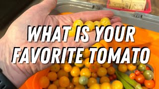 Lets Talk Tomato VARIETIES Prep For Next Year Taste Test [upl. by Lattonia]