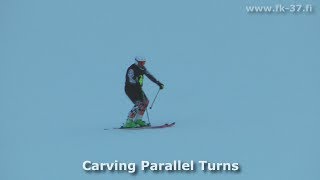 Ski Lesson  the Basics of Parallel Skiing in less than 2 minutes [upl. by Inaja875]