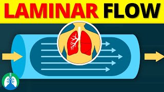 Laminar Flow in the Lungs EXPLAINED [upl. by Witte761]