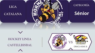 HORNETS VS TRUEHOCKEY TUCANS ASME B [upl. by Jonis]