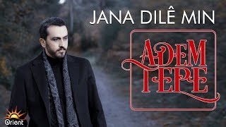 Adem Tepe  Jana Dile Min Official Audio [upl. by Narok]