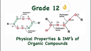 Grade 12 Organic Chemistry Physical Properties of Organic Compounds [upl. by Flss]