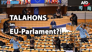 Talahons im EUParlament [upl. by Storz]