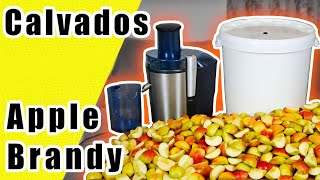 How To Make Apple Brandy At Home  Calvados [upl. by Sands]