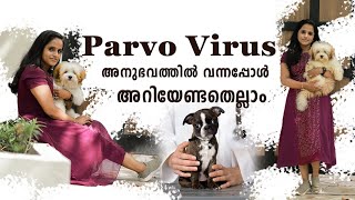 പടരുന്ന പാർവോ വൈറസ് parvo virus infection symptoms and precautions malayalam parvo care at home [upl. by Yelnoc222]