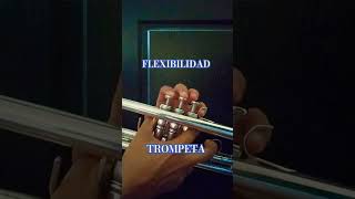 trumpet tecnicadetrompeta trompeta music musica trombone trompetista trombonista [upl. by Aymik]