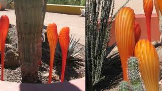 Chihuly in the Garden2 [upl. by Kennith118]