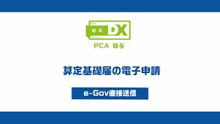 PCA給与での算定基礎届の電子申請（eGov直接送信）について [upl. by Yoj869]