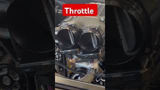 How does a Throttle Body work [upl. by Bryna]