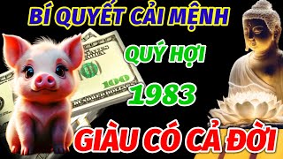 THẦY TỬ VI TIẾT LỘ BÍ QUYẾT CẢI MỆNH CHO TUỔI QUÝ HỢI SINH 1983 SAU TUỔI 42 TIỀN CỦA ĐỔ VỀ NGẬP NHÀ [upl. by Einahpehs]