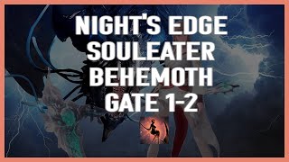 Lost Ark 1630 Nights Edge Souleater Behemoth Gates 12 [upl. by Elleret]