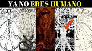 ELEGIDOSYa no eres humano [upl. by Apfelstadt787]