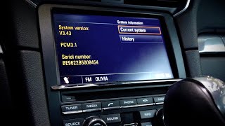 Porsche PCM31 system version information hidden menu [upl. by Naleek48]