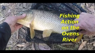 Fishing Action on the Ovens River [upl. by Farrow]