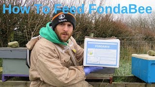 Feeding Fondant FondaBee To Honeybees The EASY WAY [upl. by Pernick]