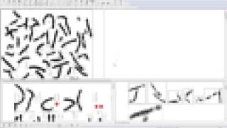 MetaClass Karyotyping [upl. by Shaylyn]