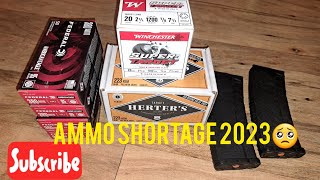 Ammo Shortage 2023 2024 is looking VERY Bad [upl. by Irelav]