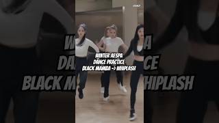 Winter Aespa Dance practice Black mamba to Whiplash aespa kpop whiplash 에스파 윈터 winter [upl. by Cliff809]