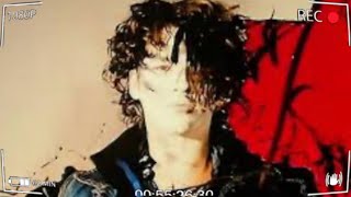 INXS  What You Need  REACTION inxsreaction inxs [upl. by Nnaes608]