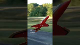 Thrust Vectored Avanti High Alpha Pass aviation rc rcplane [upl. by Akcirderf]