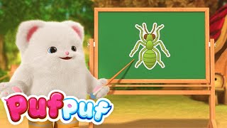 Cântecul insectelor 🦗 Cântece Educative pentru Copii Mici  Cântece Puf Puf [upl. by Lybis]