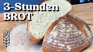 Das beste Brot Rezept in nur 3 Stunden  Das Abendbrot ist gerettet [upl. by Schaab]