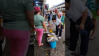 Ang mura ng bangus dito sa Pasig palengke shortvideo amazing freeclip myvideo [upl. by Ytrebil844]