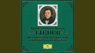 Schumann Abends am Strand op45 No 3 [upl. by Ahsinid483]