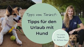 Tipps für den Urlaub mit Hund [upl. by Marsden662]