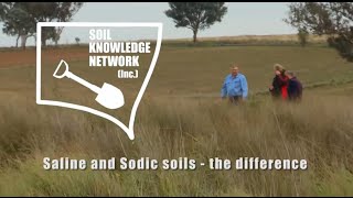 Saline and sodic soils  the difference [upl. by Arramahs]