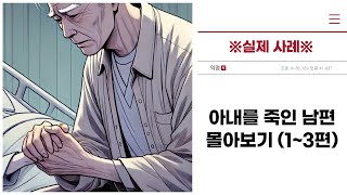 ※실제 사례※ quot아내를 죽인 남편quot 몰아보기 13편 [upl. by Korney]