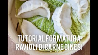 Tutorial come chiudere i ravioli di carne cinesi o Jiaozi [upl. by Tirrej]