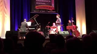 World Harmonica Festival 2017 Antonio Serrano [upl. by Niggem382]