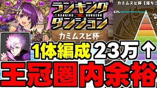 【ランダン】23万点越え！王冠余裕の五条1枚編成！ルートパズルで楽々王冠！ランキングダンジョンカミムスビ杯自陣五条1枚編成代用＆立ち回り解説！【パズドラ】 [upl. by Gnoud]