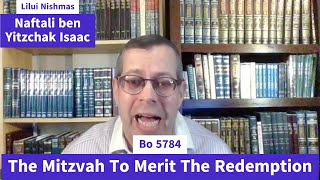 Bo The Mitzvah To Merit The Redemption Geula [upl. by Soulier]