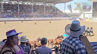 Greeley Stampede Rodeo 2024 [upl. by Ahsiadal]