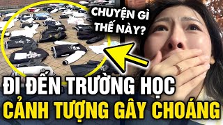 Du học sinh Việt ở Hàn Quốc CHOÁNG VÁNG khi đến trường thấy cảnh tượng HỖN LOẠN  Tin 3 phút [upl. by Lonyer787]