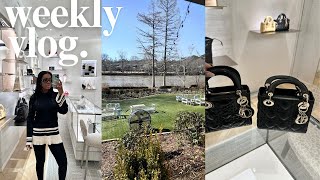 WEEKLY VLOG  working on my routine getting eyebrows microshaded amp luxury shopping  Octavia B [upl. by Johnsten]