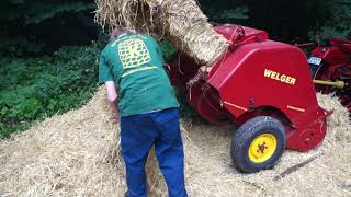 IHC Farmall DLD2 1953  Honigmarkt von Jens Keinhörster 2017 in Suderwich Recklinghausen  III [upl. by Fadas]