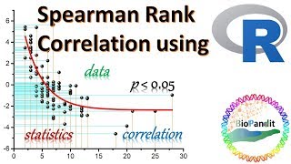 Spearman Rank Correlation using R [upl. by Shaner745]