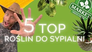 TOP 5 ROŚLIN DO SYPIALNI 🌿Z BONUSEM Które rośliny wytrzymają suszę🔥 [upl. by Savior]