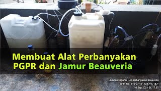 Cara Membuat Alat Perbanyakan PGPR dan Jamur Beauveria Bassiana [upl. by Zorina902]