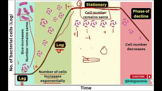 growth curve للبكتيريا [upl. by Chadwick]
