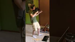 World’s Smallest Violin  AJR Violin Cover [upl. by Nazus]